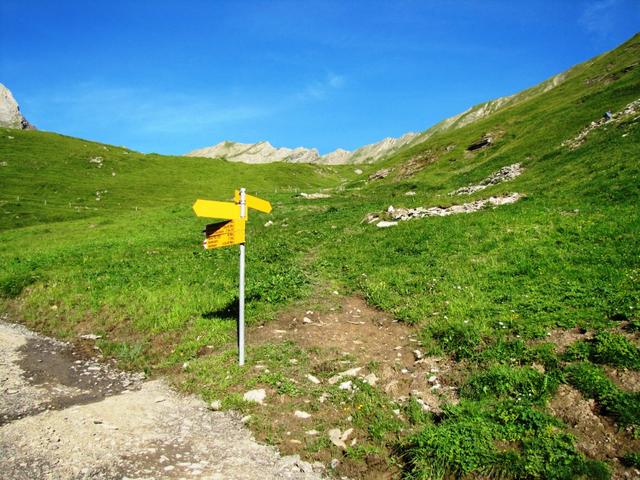 bei der Wegkreuzung bei Punkt 1910 m.ü.M. Obere Allme,  verlässt man die Alpstrasse