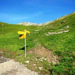 bei der Wegkreuzung bei Punkt 1910 m.ü.M. Obere Allme,  verlässt man die Alpstrasse