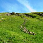 steil führt der Bergweg nun aufwärts zum Allmegrat und First