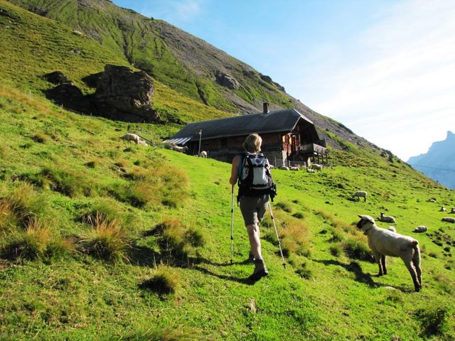 bei der Alphütte im Steintal