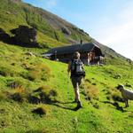 bei der Alphütte im Steintal