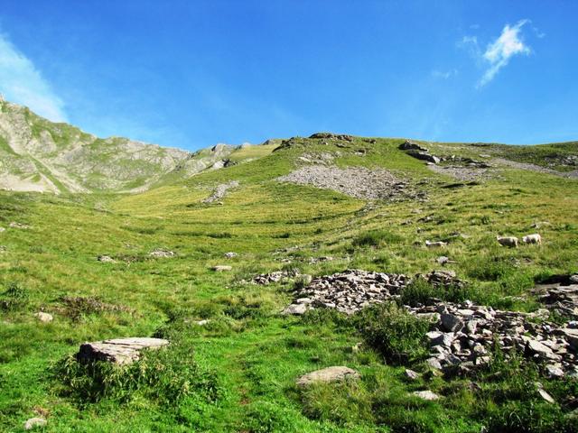 Blick hinauf zu Punkt 2207 m.ü.M. endlose Kehren und ein steiler Weg, steht uns bevor