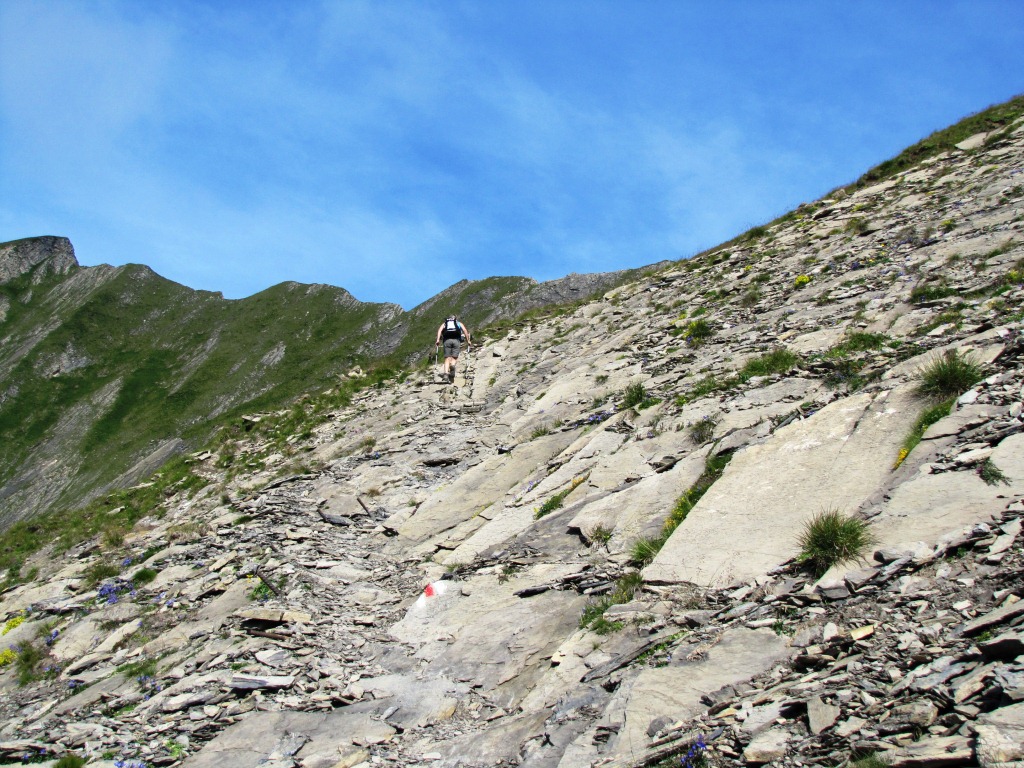 der Weg ist immer gut ersichtlich und markiert und nicht exponiert, einfach steil