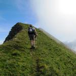 ein kurzes Stück geht es nun alles am Grat entlang bis zur Bergspitze vom First