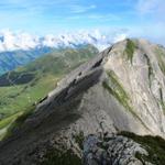 Blick zur Howang. Links im Halbschatten, gut ersichtlich der Bergweg