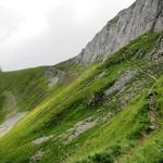 an der steilen Nordwand des Stand führt der Weg danach Richtung Golitschepass