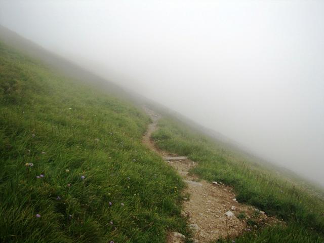 wir laufen auch zugleich in den Nebel