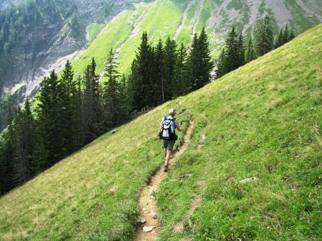 der Weg führt nun hinunter ins Golitschegraben