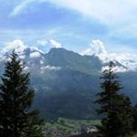 schönes Breitbildfoto Blüemlisalp, Fründenhorn, Doldenhorn, Balmhorn und Altels