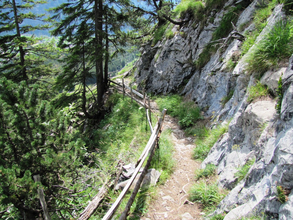 solche Wanderwege als Abschluss von einem Wandertag, sind immer ein Höhepunkt 