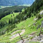 Blick in den Höhwald und Kandertal