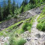 je tiefer wir hinunterlaufen, je wärmer wird es, sowieso an diesem sonnenverwöhnten Hang