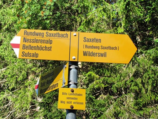 unser erstes Ziel die Nesslerenalp