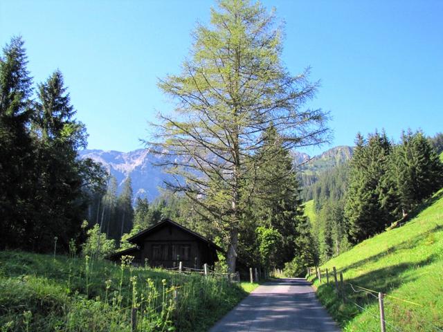 was für ein schöner Tag. Gerade richtig um in die Berge zu gehen