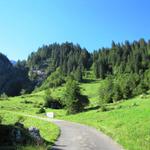 das erste Teilstück verläuft der Wanderweg über eine Asphaltstrasse