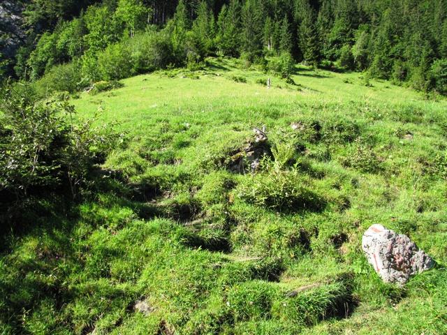 bei Stalden werden die grossen Schleifen der geeterten Alpstrasse abgekürzt