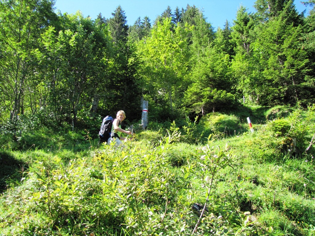 der Weg wird ein bisschen steiler