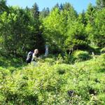 der Weg wird ein bisschen steiler