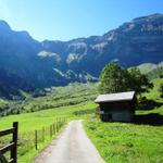 wir haben die Nesslerenalp am Fusse der Schwalmere erreicht