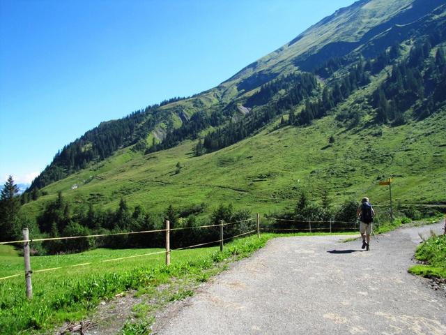 auf Underberg 1457 m.ü.M. bogen wir links ab Richtung Bällehöchst