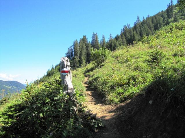 auf gutem Wanderweg geht es weiter aufwärts Richtung Hinderbällen