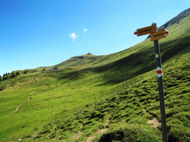 bei der Wegkreuzung Punkt 1787 m.ü.M.