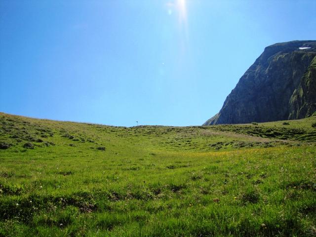 kurz vor dem Sattel bei Punkt 1998 m.ü.M. zwischen Bällehöchst und Sulegg