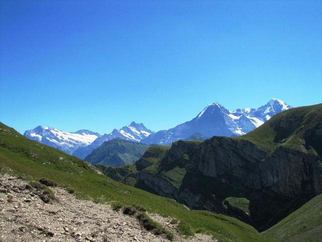 was für eine Aussicht Wetterhorn, Ewigschneehorn, Schreckhorn, Lauteraarhorn, Eiger, Mönch und Jungfrau