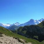 was für eine Aussicht Wetterhorn, Ewigschneehorn, Schreckhorn, Lauteraarhorn, Eiger, Mönch und Jungfrau