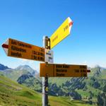 Wegkreuzung auf dem Sattel bei der Bällenalp 1998 m.ü.M.