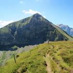 Blick zurück zum Sattel und zur Sulegg