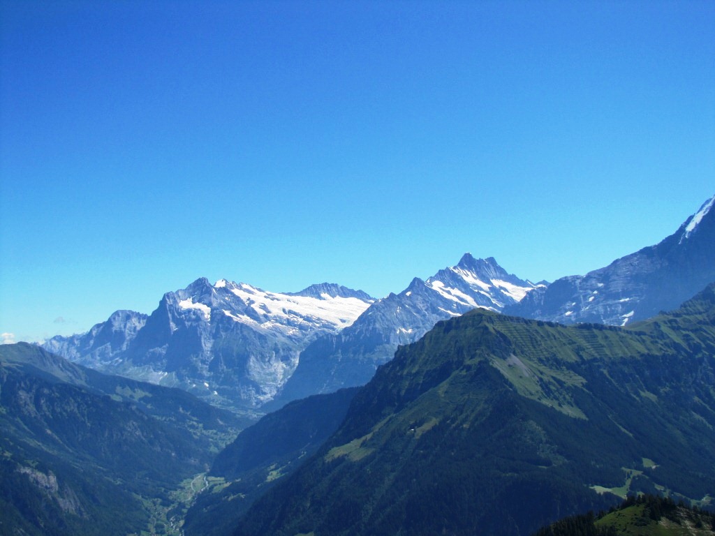 Wetterhorn, Ewigschneehorn, Schreckhorn und Lauteraarhorn