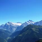 Wetterhorn, Ewigschneehorn, Schreckhorn und Lauteraarhorn