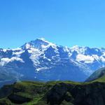 sehr schönes Breitbildfoto mit Eiger, Mönch, Jungfrau und Äbeni Flue. Ganz rechts der Bietenhorn, dort waren wir auch schon