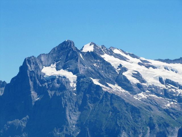 das Wetterhorn