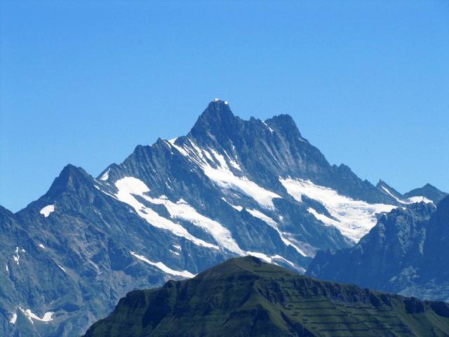 Schreckhorn und Lauteraarhorn