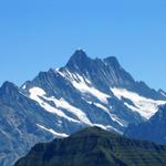 Schreckhorn und Lauteraarhorn