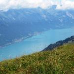 bei so einer Aussicht haben wir das Mittagessen eingenommen