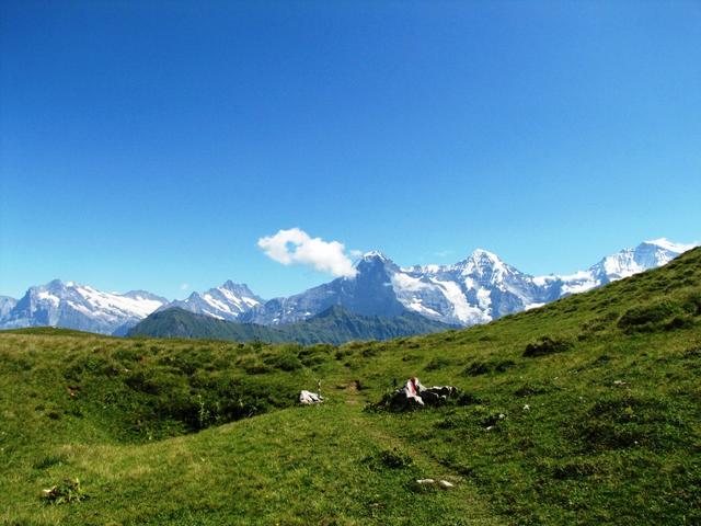 Wetterhorn, Ewigschneehorn, Schreckhorn, Lauteraarhorn, Eiger, Mönch und Jungfrau und das auf einem Bild