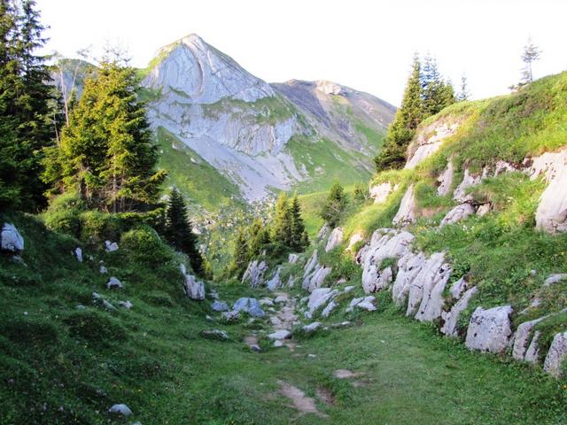 zuerst geht's aber abwärts zur Sulsalp