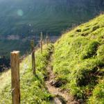 kurz nach dem Chantbach beginnt der Abstieg in das Soustal