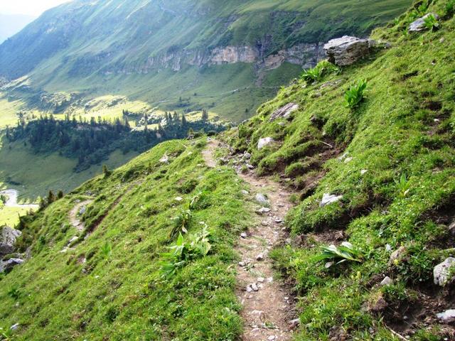 über zahllose Serpentinen, führt der gut erbaute Bergweg hinunter in das Soustal