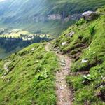 über zahllose Serpentinen, führt der gut erbaute Bergweg hinunter in das Soustal