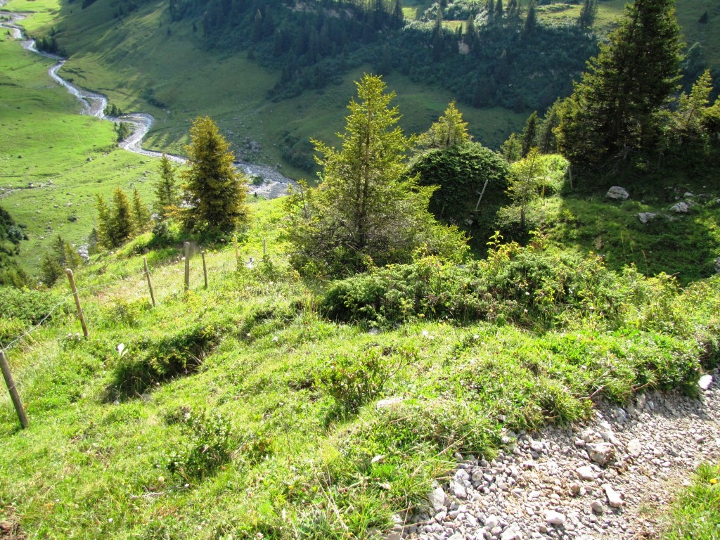 Blick hinunter zum Sousbach und Punkt 1703 m.ü.M.
