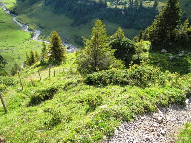 Blick hinunter zum Sousbach und Punkt 1703 m.ü.M.