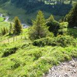 Blick hinunter zum Sousbach und Punkt 1703 m.ü.M.