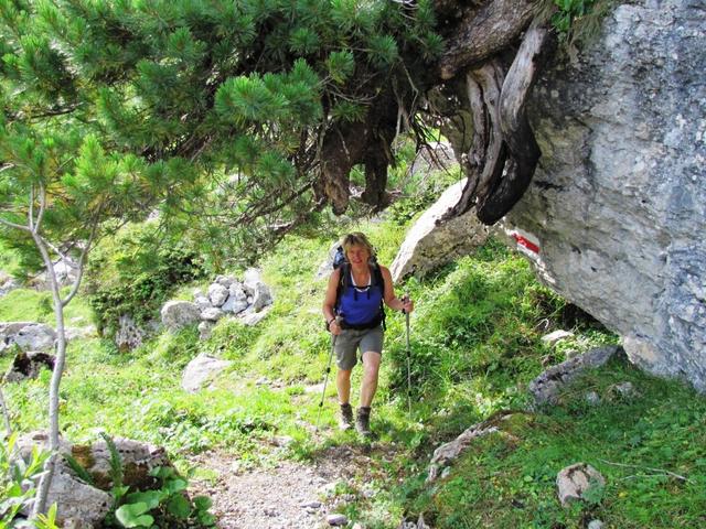 der einfache Wanderweg führt weiter am Talboden des Soustal aufwärts