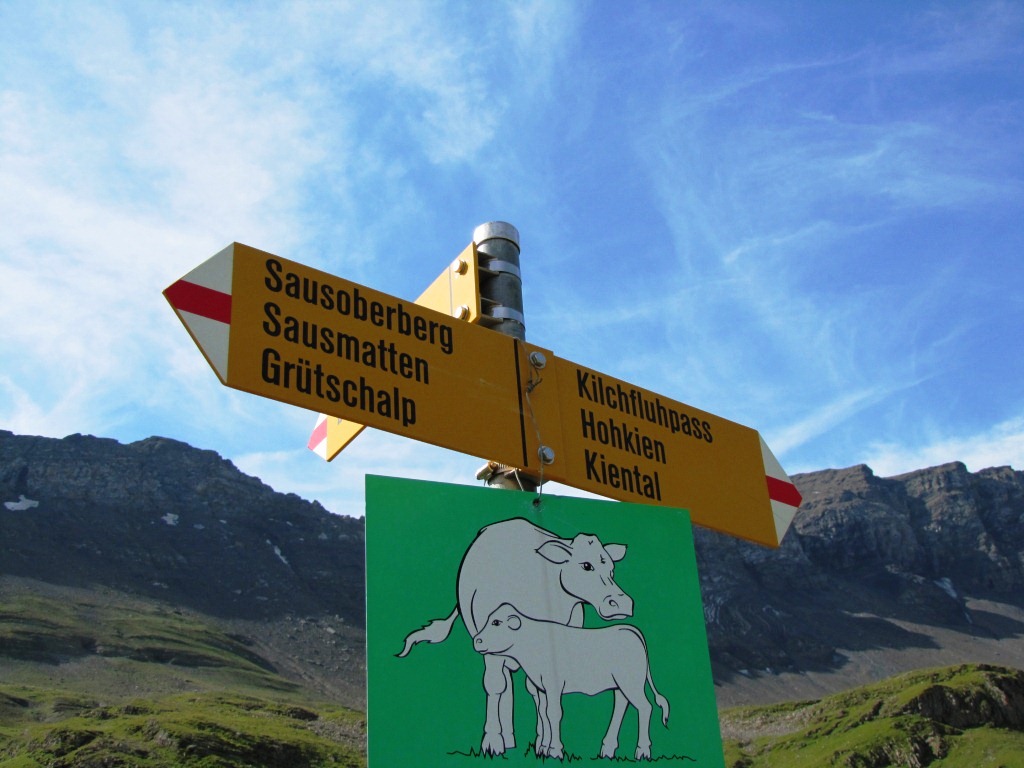 bei dieser namenslosen Wegkreuzung, steht endlich unser nächstes Ziel...