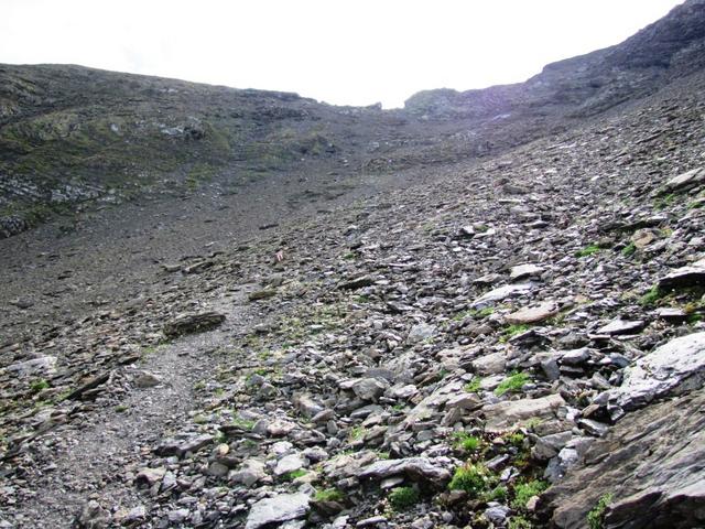 jetzt ist der Bergweg nicht mehr steil, sondern sehr steil