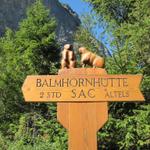 der geschnitze Wegweiser zur Balmhornhütte bei Punkt 1367 m.ü.M. weckt bereits Vorfreude auf die Hütte